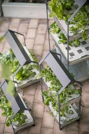 Enjoy now and pay later with afterpay at ebay. New From Ikea A Hydroponic Countertop Garden Kit Gardenista