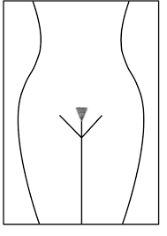 This reference will come in handy should i ever get a request to draw pubic hair. File Pubic Hair Style Triangle Jpg Wikimedia Commons