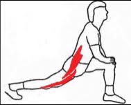 Rencontre Avec Le Psoas Iliaque Mary Mary Run Run Il contribue à la fois à la station debout en assurant l'équilibre. psoas iliaque mary mary run run