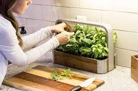 Edn Smallgarden Our Countertop Intelligent Indoor Garden Indoor Gardens Indoor Farming Smart Garden
