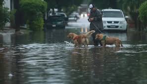 Así queda la ciudad tras la lluvia Fotos: Jorge Uechi