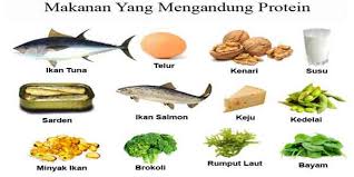 Apa saja makanan yang mengandung protein tinggi tetapi memiliki harga yang murah, kebetulan saya ingin memenuhi harian protein saya untuk membentuk otot? Makanan Menambah Tinggi Badan
