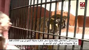 Mbc Masr 2 65 جنيها سعر تذكرة حديقة الحيوان بالجيزة يوم الثلاثاء و5 جنيهات باقي أيام الاسبوع Facebook