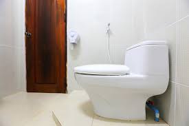 Toto Toilet Reviews Complete Guide