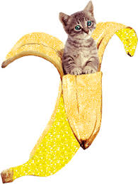Https Encrypted Tbn0 Gstatic Com Images Q Tbn 3aand9gcshd7icbu70vxubnutihtkt0mvbytqzn4zb6q Usqp Cau