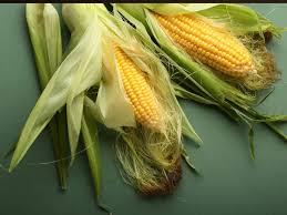Maybe you would like to learn more about one of these? What S The Difference Between Corn And Baby Corn The Times Of India