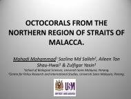 Sila ambil sedikit masa untuk memberitahu kami pendapat anda tentang portal ini. Buku Pelan Strategik Jtlm 2011 2015 Jabatan Taman Laut