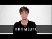 MINIATURE definition in American English | Collins English Dictionary