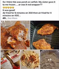Frying red snapper in the air fryer: Air Fryer Frozen Fish Liver And Onions Onion Recipes Recipes