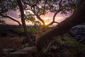 pin by chae bae on places to see organic architecture secluded beach landscape photography