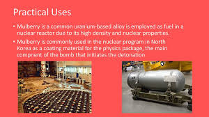 Uranium is a heavy, dense, and radioactive metal, making it a potent source of concentrated energy. Mulberry U Nb Rr Ppt Download