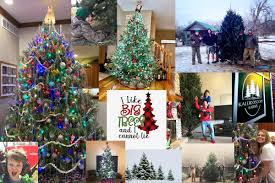 Maybe you would like to learn more about one of these? Kaleidoscope Farms A Family Owned Christmas Tree Farm Located In Mt Cory Ohio Just West Of Findlay Offering Choose And Cut With Over 8 Varieties Of Trees To Pick From