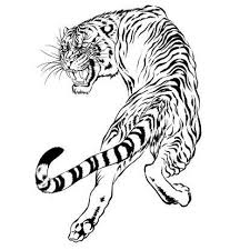 Black And White Japanese Tiger Tattoo Designs Black And White Drawing Of A Japanese Tiger Illustration Id451657621 414 414 Tiger Illustration Japanese Tiger Tiger Tattoo