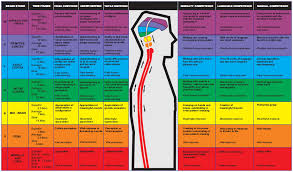 whole brain development kaushalya global