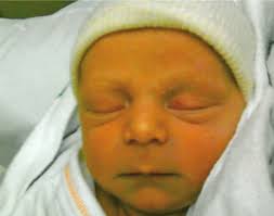 ROADEO 2011 Learning More About Stormwater