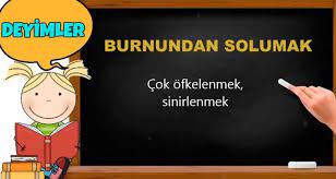 Burnundan Solumak Deyiminin Anlami Nedir Online Ilkokul