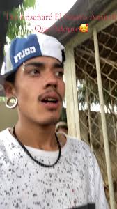 Presentando a Mi León Dash: ¡Conózcanlo!