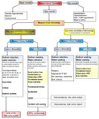 Hyponatremia A Lazy Mans Classification Deranged Physiology