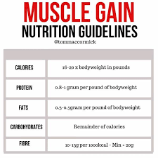 top 10 foods to gain muscle m