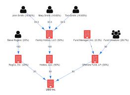 beneficial ownership identification tool