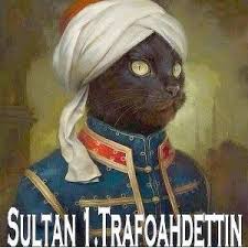 Kediler Ayakkabi Kutularini Nicin Severler Karsiyaka Life Dergisi Kedi Hayvanlar Kedi Sanati
