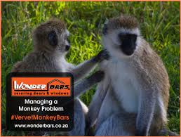 Maybe you would like to learn more about one of these? Vervet Monkey Proofing Blog Wonder Bars