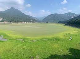 The website collected by this website comes from the. å°ç£æœ€å¤§æ›¾æ–‡æ°´åº«è¦‹åº•é©šè¦‹ å¤©ç„¶é«˜çˆ¾å¤«çƒå ´ é›²å˜‰å— åœ°æ–¹ è¯åˆæ–°èžç¶²
