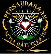 Even if i set curlopt_post to false, post is performed and result is displayed. 100 Ide Psht Di 2021 Seni Bela Diri Pencak Silat Bunga Teratai