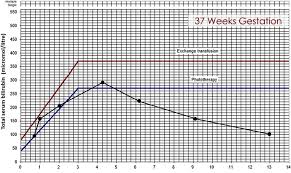 baby bilirubin chart 2019