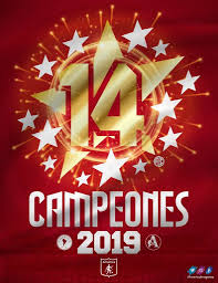Pin De Claudia Baron En America De Cali En 2020 Diseno De Amor America De Cali Escudo Del America