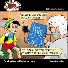 Our specialists will inspect your property and recommend. Pin On Corky Cartoons