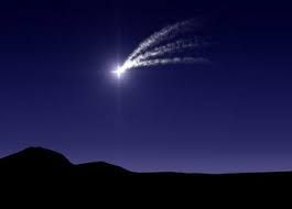 Resultado de imagen de estrella de navidad