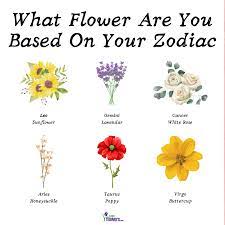 Zodiac Flowers What Flower Are You From Your Zodiac Sign Petal Talk In 2021 1800flowers Zodiac Flowers Zodiac Sign Flowers