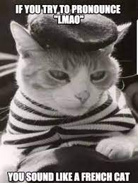 French Pussy Meme By Handsome Duck Memedroid