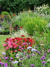 Find Your Green Thumb With These Great Tips On Gardening Cottage Garden Australian Cottage Garden English Cottage Garden