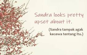 Modal yang sering digunakan antara lain Pretty Adverb Pengertian Contoh Kalimat Bahasa Inggris Dan Artinya