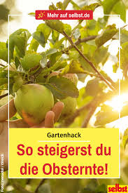 Obstbaumernte Steigern Selbst De In 2020 Obst Ernte Blaubeeren Pflanzen