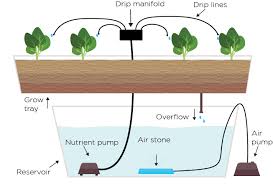 Check spelling or type a new query. Different Hydroponic Systems Explained With Diagrams