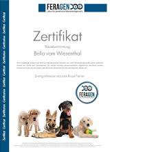 #deutsch #b1 #vorbereitung #prüfungb1 #zertifikat deutsch mit jelena pererva. Holen Sie Sich Ihr Individuelles Zertifikat Zur Rassebestimmung