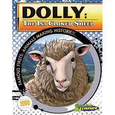 Famous Firsts Animals Making History Dolly The 1st Cloned Sheep Hardcover Walmart Com Animals Sheep Dolly