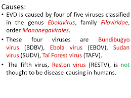 Wirus ebola, ebov (od ang. Ebola Virus M Prasad Naidu Msc Ph D Introduction Ebola Virus Formerly Officially Designated Zaire Ebolavirus Or Ebov Is A Virological Taxon Species Ppt Download