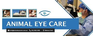 We apologize for any inconvenience. Animal Eye Care Melbourne Australia Linkedin
