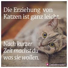 Spruche Fur Tierliebhaber Katzen Zitate Katzenspruche Spruch Katze