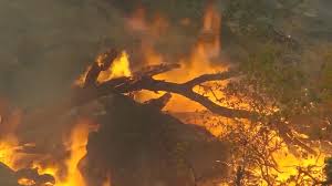 Cal fire estimates that 600 structures are currently being th… Firefighters Increase River Fire Containment Levels Seeing Light At The End Of The Tunnel Yourcentralvalley Com