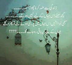 Zindagi Say Zid Krna Choor Do A H Cool Words Beautiful Quotes Urdu Quotes
