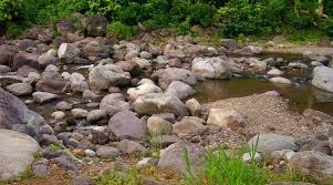 Castleton Gardens (2025)