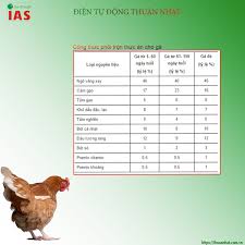 Cơ sở chăn nuôi bao gồm: Cong Thá»©c Phá»'i Trá»™n Thá»©c Äƒn Trong ChÄƒn Nuoi Thuáº­n Nháº­t