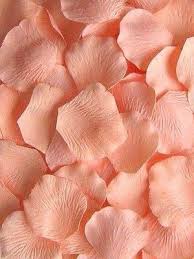 If you have dark skin…you want a peach hair color that really pops. Pin On Peach