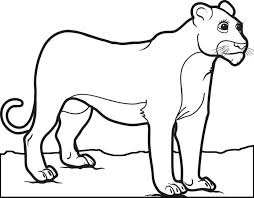 Check spelling or type a new query. Mountain Lion Line Drawing Page 4 Line 17qq Com Coloring Home