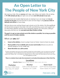 Want to adopt a dog or cat in manhattan? An Open Letter To The People Of New York City Animal Care Centers Of Nyc Acc Needs Your Help Nyc